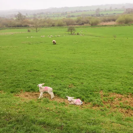 Vakantiehuis The Bride Valley Tallowbridge