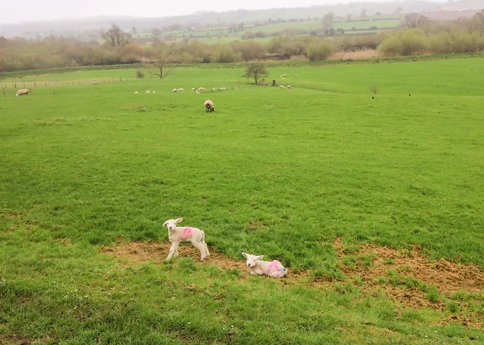 度假居 The Bride Valley Tallowbridge